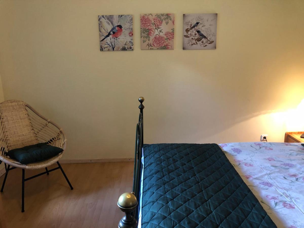 Za Piecem Villa Guzowy Piec Exterior foto