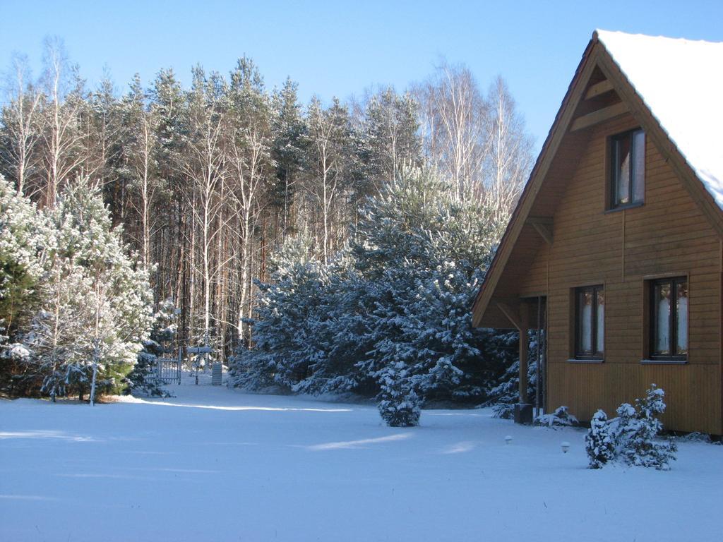 Za Piecem Villa Guzowy Piec Cameră foto