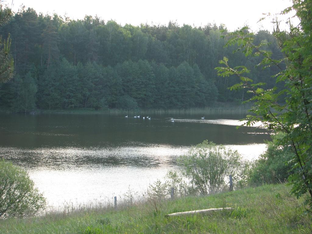 Za Piecem Villa Guzowy Piec Exterior foto